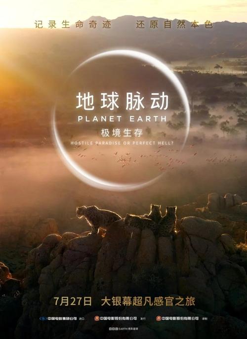全球脉动，我们如何预见未来潮流的变革？
