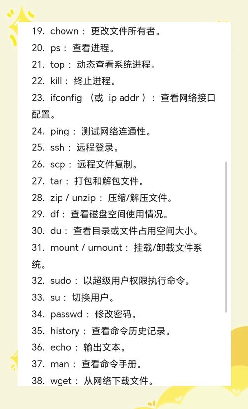 Linux中常用的基础命令有哪些？