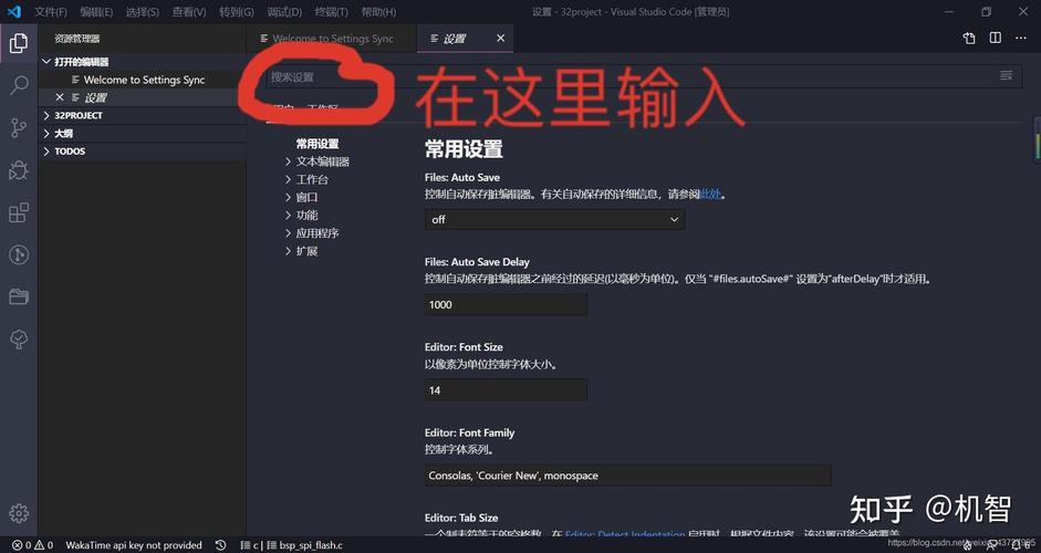 如何将VSCode配置为添加带有红色警戒经典注释的自定义注释？