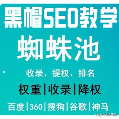 如何利用免费蜘蛛池轻松提升新站排名，实现网站流量新飞跃？