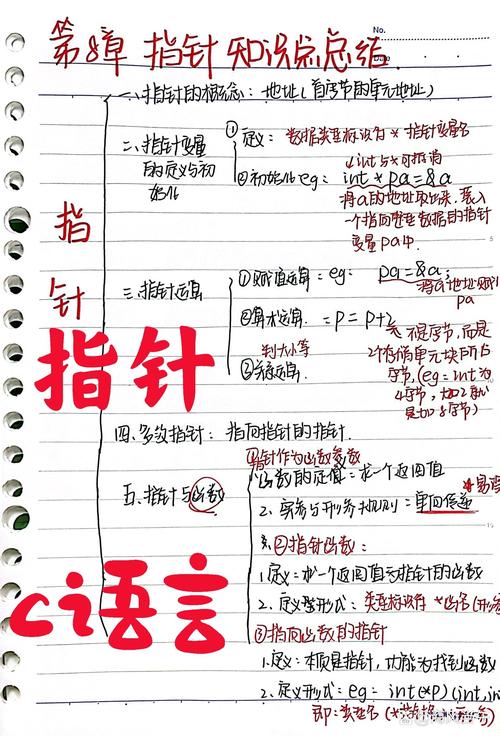 初识指针，如何深入理解其原理和应用？