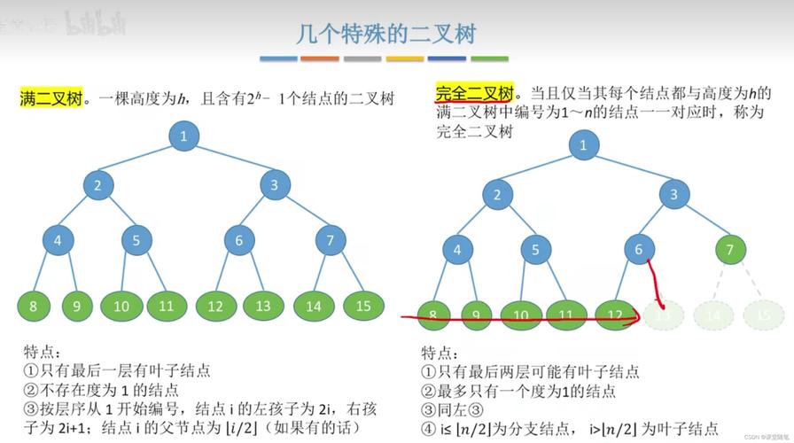 三分钟内如何区分树与二叉树的区别？