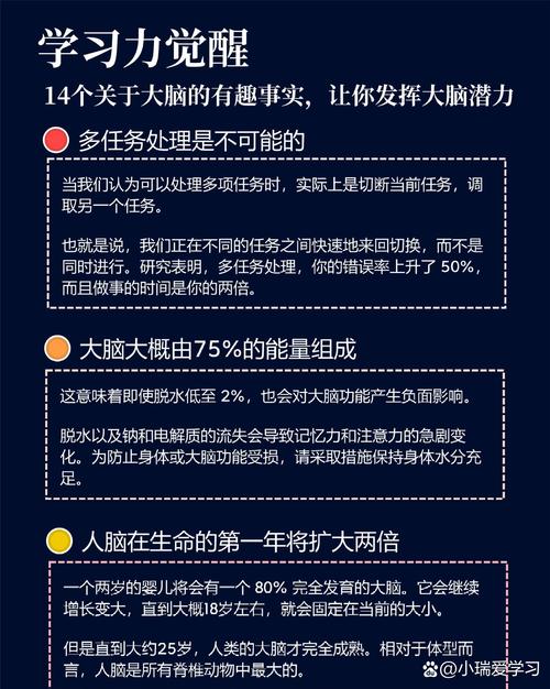 未来无限智脑潜能如何被充分挖掘和利用？