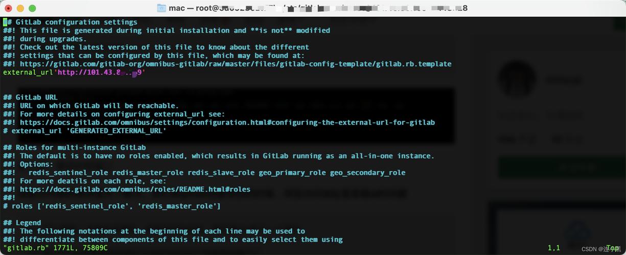 如何调整GitLab中的中文注释设置？