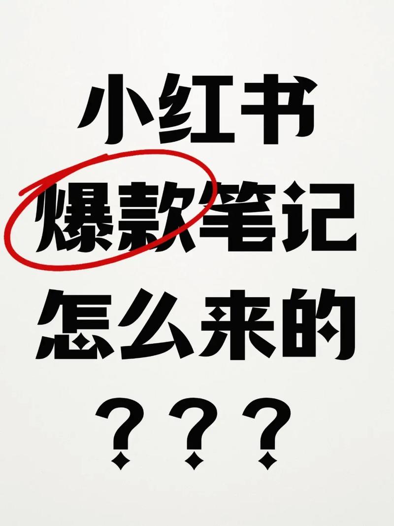 爆款SEO费用究竟是多少？揭秘爆款背后的成本真相！
