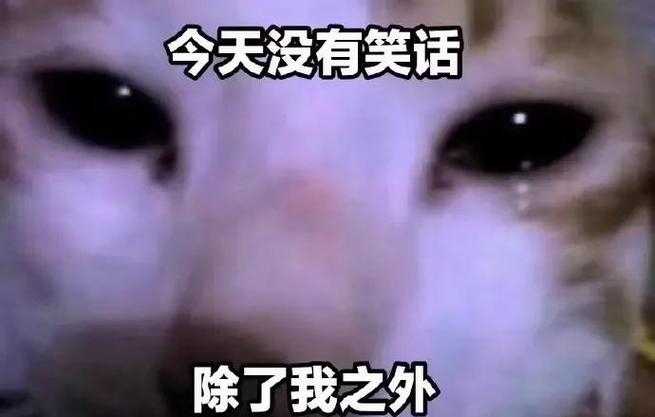 非极大值抑制（Nonmaxsuppression）是如何在目标检测中减少冗余框的？