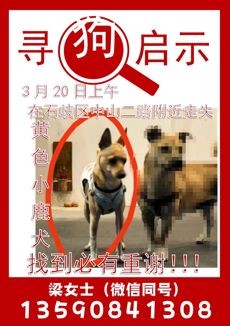 如何通过悬赏汪赚钱？揭秘玩法攻略技巧详解？
