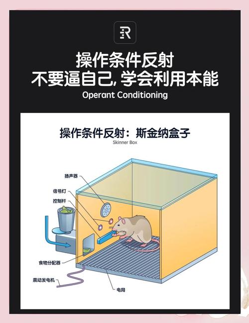 Lua沙箱环境为何需限制不安全操作？