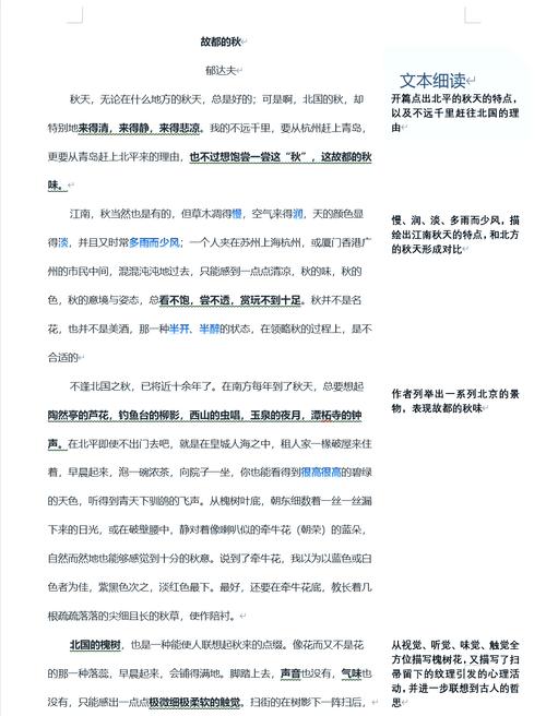 这篇文章中提到的观点，能否详细解释一下以便我深入理解其内涵？