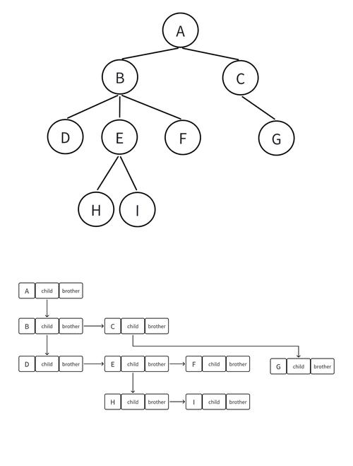 如何构建一个二叉树？