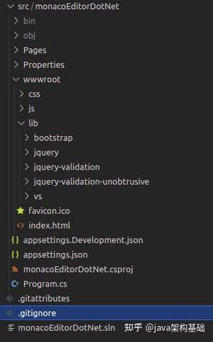 如何用Asp.Net Core结合Monaco Editor构建代码编辑器功能？