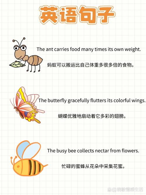 What is the smallest insect known as an ant?