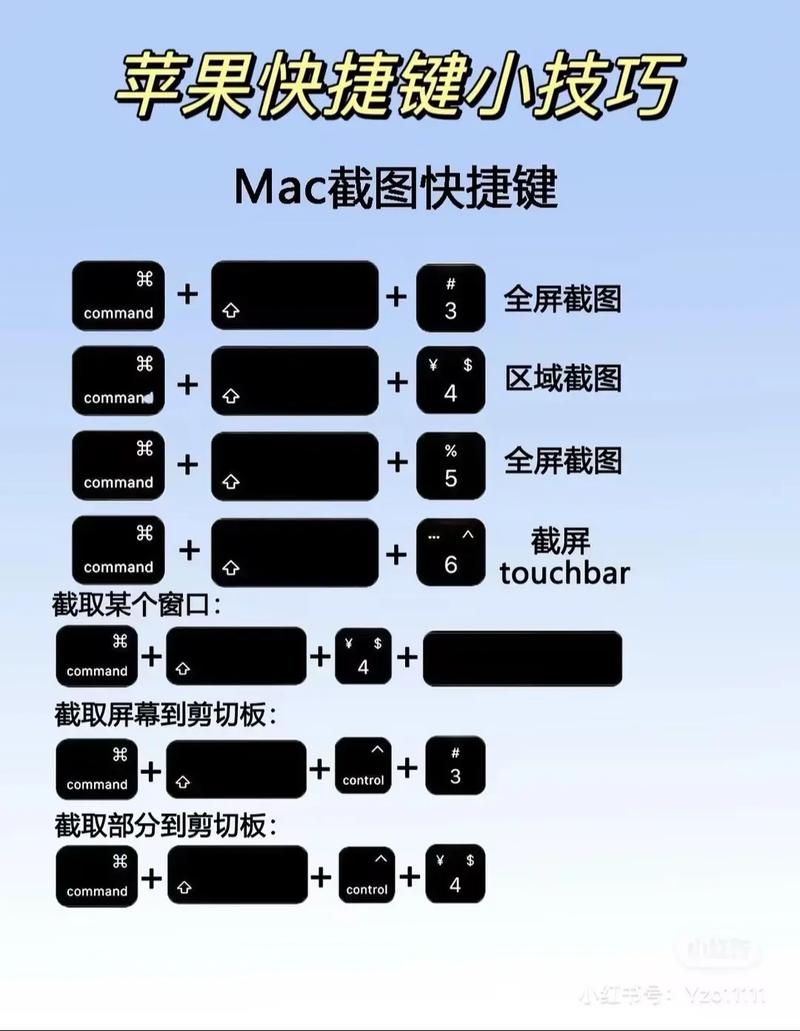 c demo的详细使用方法是什么？