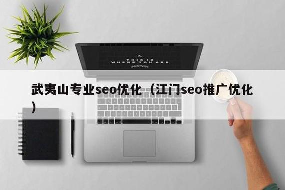 武夷山SEO优化专家，你们能帮我定制一个专业的网站吗？