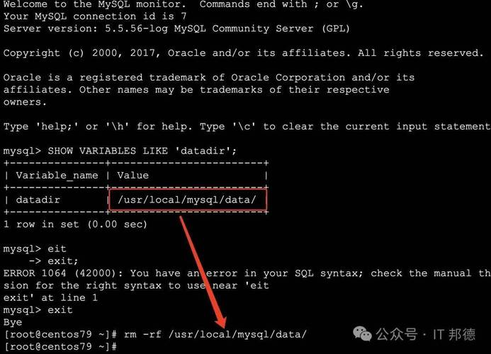 MySQL死锁时，系统会显示哪些具体异常现象？