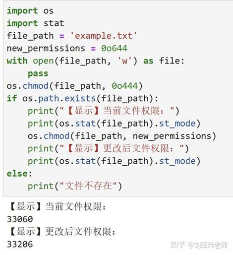 如何通过os.Chmod函数调整文件或目录的访问权限？