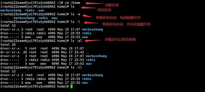如何使用os模块中的Mkdir函数成功创建一个新目录？