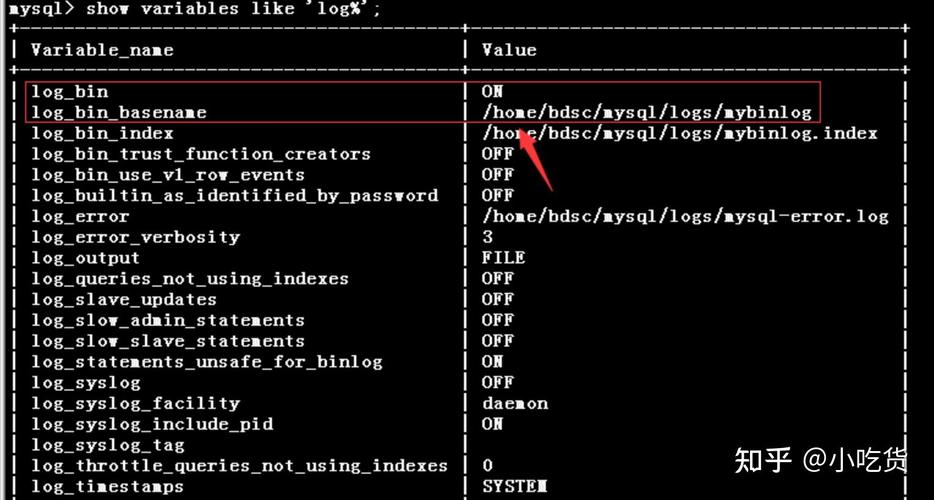 如何设置MySQL在Linux系统中的日志路径并关闭binlog功能？
