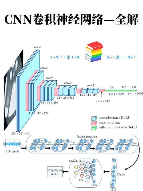 卷积神经网络为何成为深度学习应用中最成功的领域？