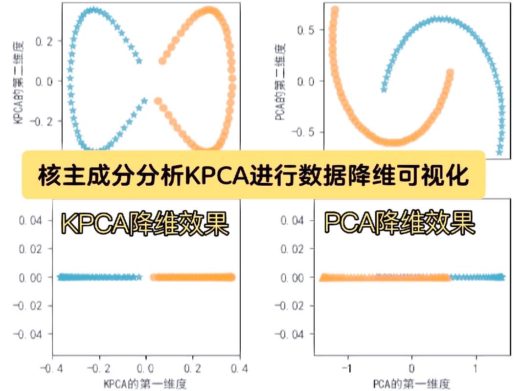 如何将PCA和KPCA应用于数据降维？