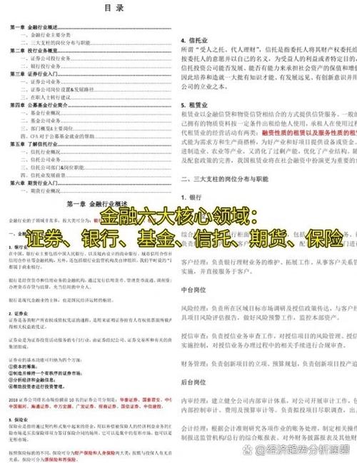 FVF在金融领域具体指什么？