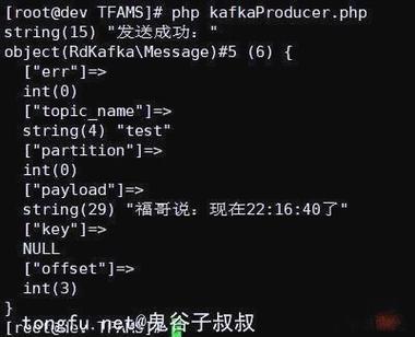 如何高效安装配置PHP与Kafka集成环境？