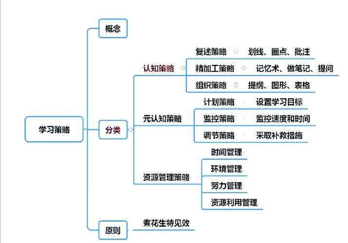 如何运用Python实现迁移学习技巧？
