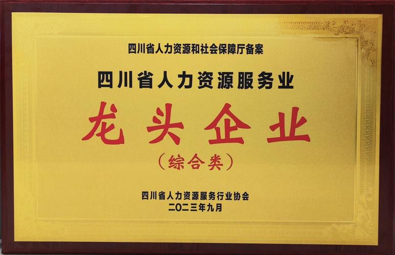 栾川SEO哪家强，实力领先的是哪家公司？
