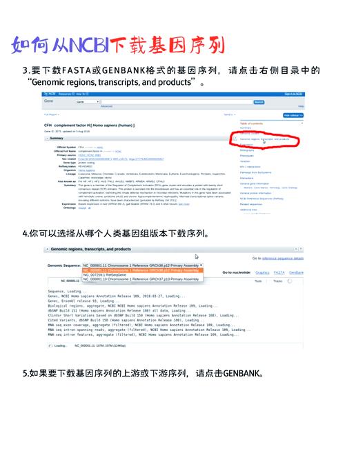 如何通过bootstraptable获取特定行的ID？