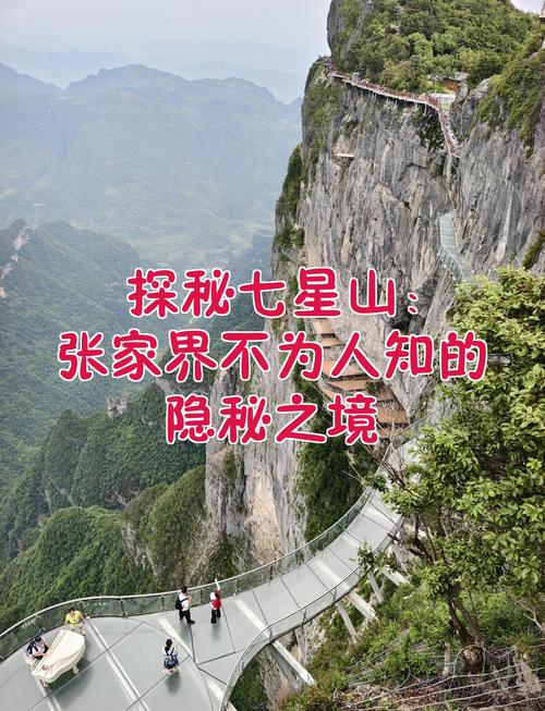 深度搜索免费探秘，有哪些不为人知的秘密可以一探究竟？