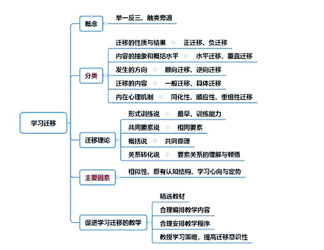如何运用Python实现迁移学习技巧？