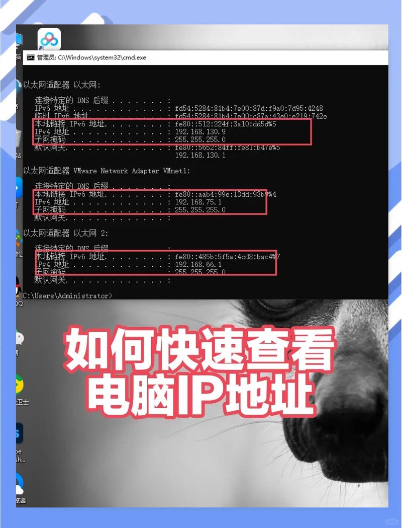 如何设置ASP.NET MVC中限制特定IP地址在单位时间内的请求频率？