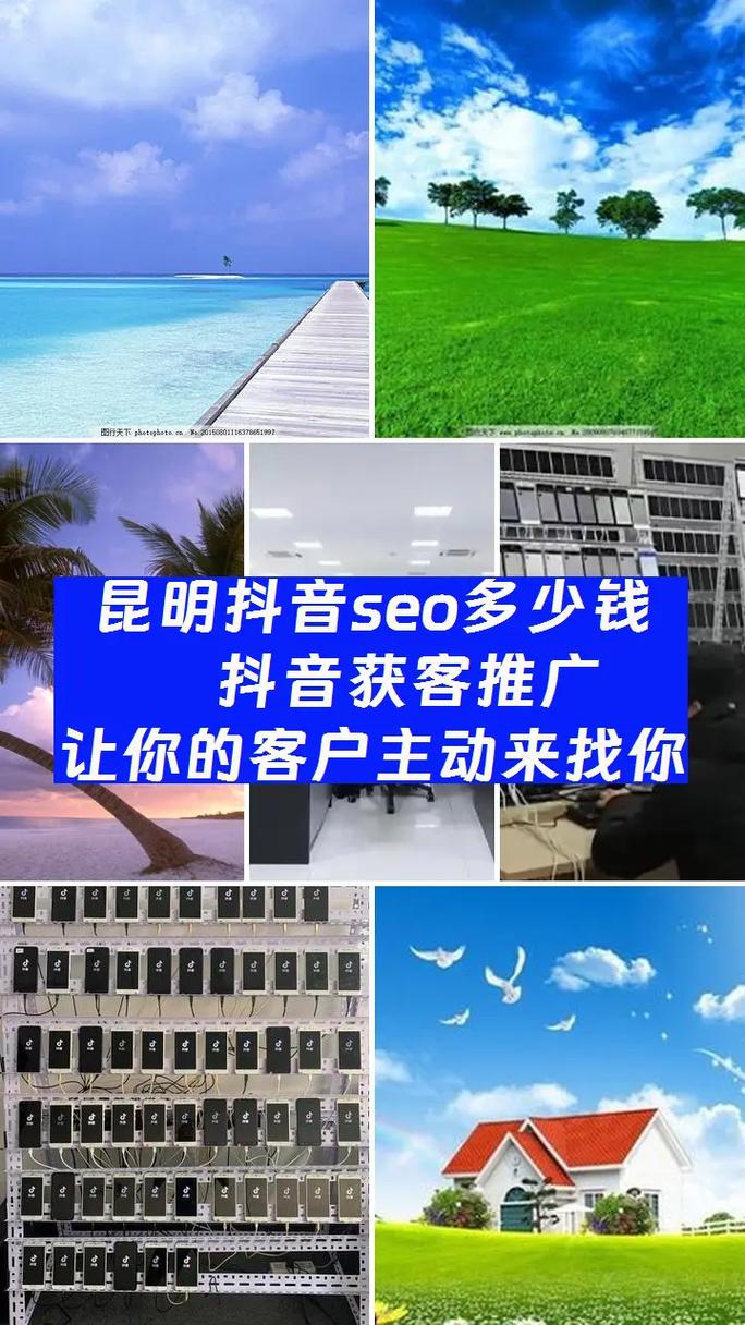 昆明SEO服务，哪家专业优化效果显著呢？