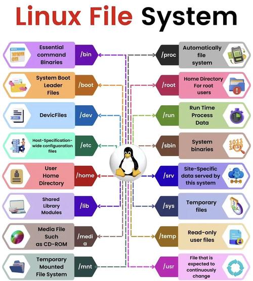 Linux文件系统有哪些类型和特点？