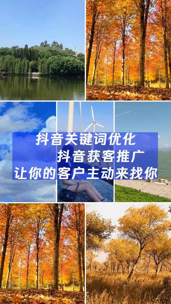 曲靖抖音SEO专家团队，哪家服务更专业呢？