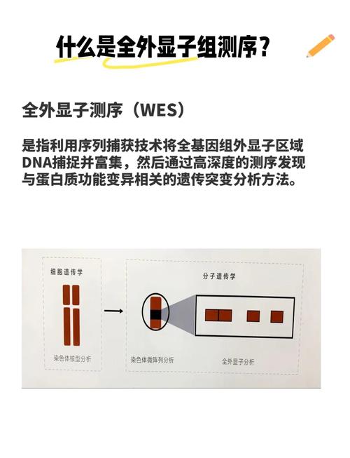 柳叶刀发布：胎儿结构异常评估，全外显子测序有何突破？