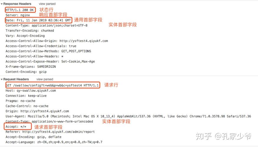 axios请求接口时，不同content-type类型有何详细差异？