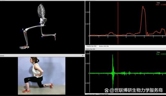 运动捕捉系统的工作原理是什么？