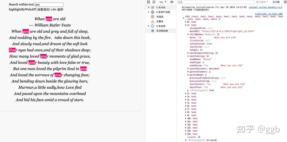 如何通过编程实现文本的高亮选中效果？