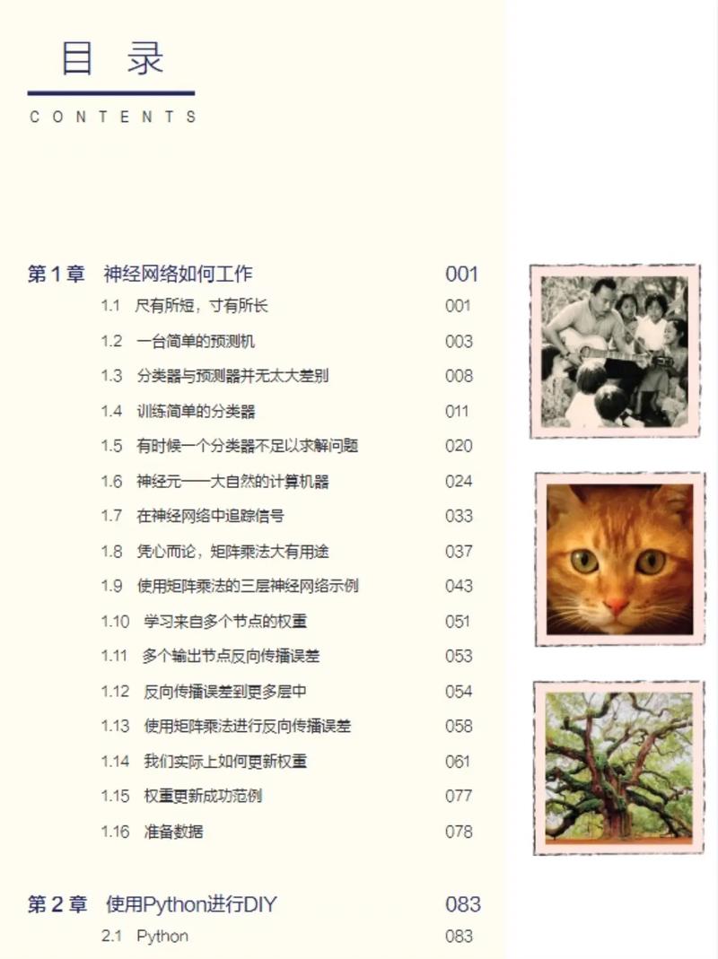 Python中如何创建一个神经网络实例？