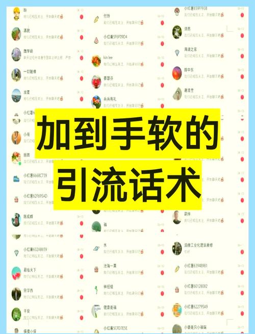 如何快速掌握低成本全网吸粉的秘诀？