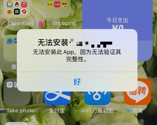 如何解决未安装ThinkPHP导致无安装界面的难题？