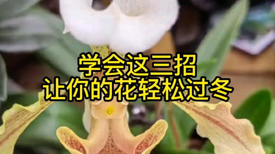 知乎真的能轻松花大价钱请到300位知名大V吗？这难道不是小菜一碟？