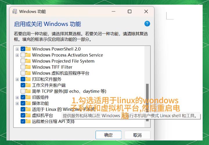 如何通过WSL2高效搭建Drupal本地开发环境？