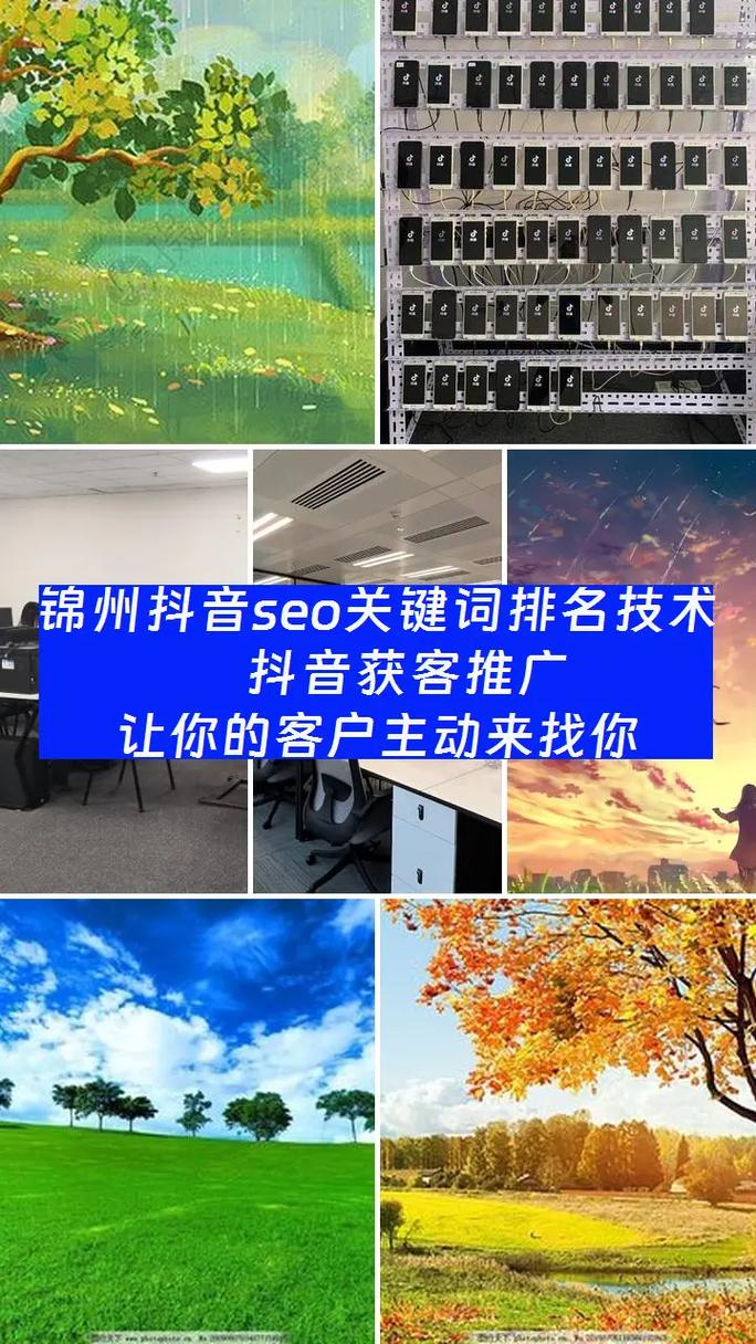 锦州SEO哪家更优，首选效果显著的是哪家呢？