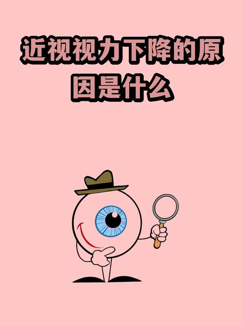 前后结构有何不同之处？