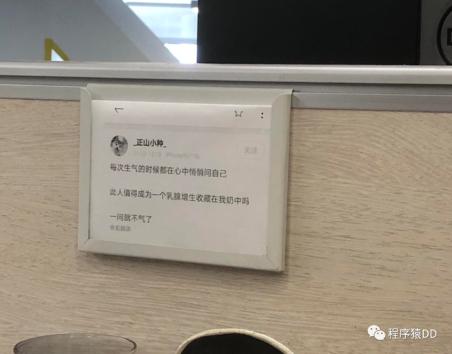 Java安全编码指南中，如何理解Mutability（可变性）在安全编码中的应用？