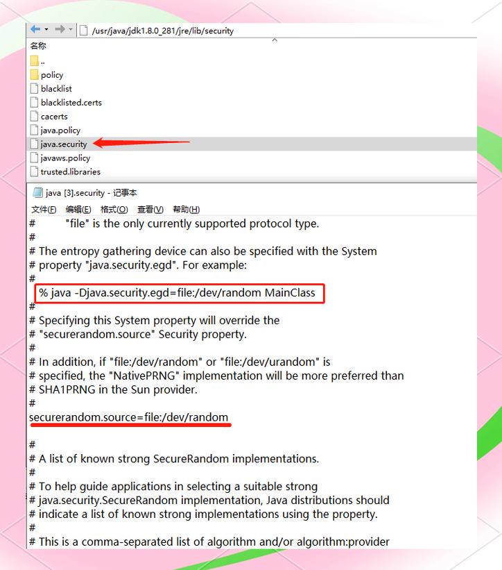 如何通过Java脚本在Linux环境下高效操作数据库？