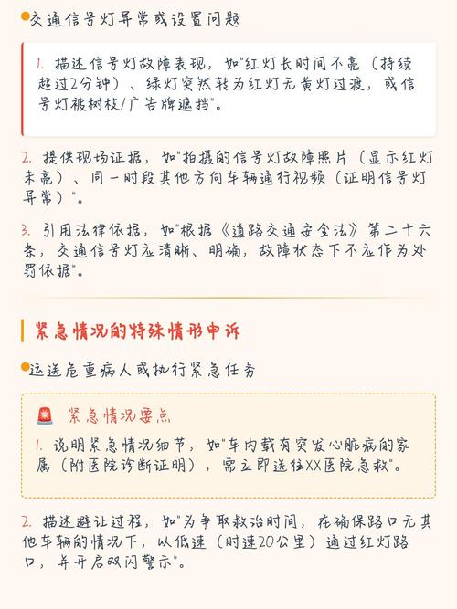 误闯红灯后该如何正确处理？
