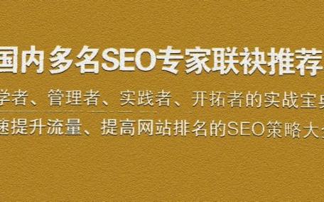 惠州SEO专家，你们知道哪家专业优化团队是首选吗？